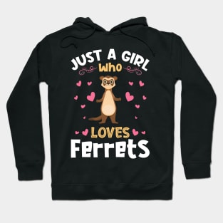 Just a Girl who Loves Ferrets Gift Hoodie